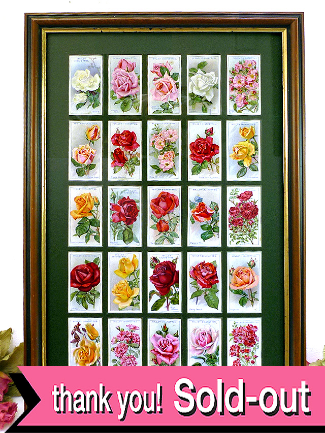 １９３０年代：すべて薔薇のお花♪とても貴重な「WILLS社」のシガレット・カードのとても大きな額「２５枚の薔薇」