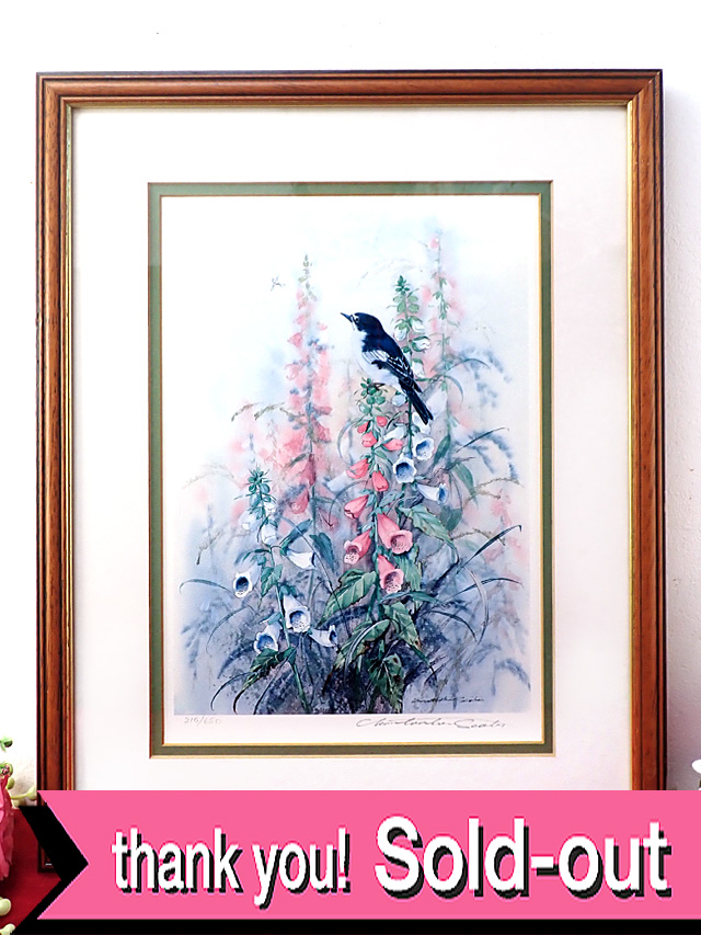 ＜英国ミッドセンチュリー＞イングリッシュガーデンに咲くジキタリス♪野鳥さんも可愛い水彩画が美しいとても大きな額