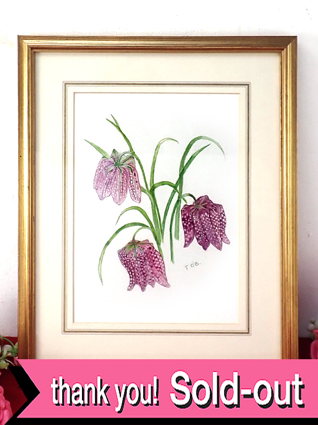 ＜英国ボタニカルアート原画：レア♪＞「Joan O'Brien」RHS（英国王立協会）金賞受賞作家の貴重な水彩画の原画♪可憐な３輪のフレチラリアのお花の額「手書きのサイン入り」