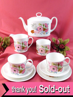 ＜廃盤レア♪ウェッジウッド＞完全フルセット♪水彩画のようなお花たち「MEADOW SWEET」（メドウスィート）のティーフォーツー「９点セット」