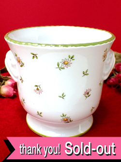 ＜St Michael＞「DAISY」♪愛らしいデイジーの白いお花たちのロマンチックな鉢カバー