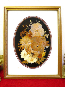 ＜英国ビンテージ＞たくさんの野の花たちの押し花♪貴重で珍しい英国の長方形の２WAYの額