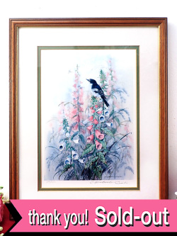 ＜英国ミッドセンチュリー＞イングリッシュガーデンに咲くジキタリス♪野鳥さんも可愛い水彩画が美しいとても大きな額