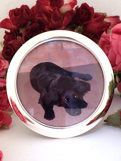 ＜英国ミッドセンチュリー＞立体的なシルバープレートのフレーム♪まあるいフォルムの優雅なフォトフレーム「ブラックレトリーバー君の写真付」