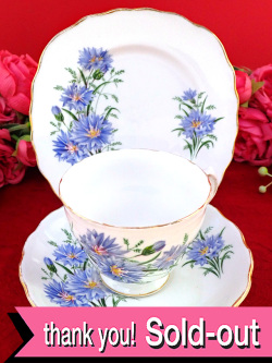 ＜Royal Vale＞英国カントリーサイドのコーンフラワー♪金彩も美しい優雅なシェイプのトリオ