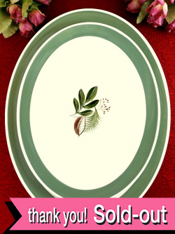 ＜スージー・クーパー：ハンドペイント＞廃盤レア♪１９５９年：若草の葉「ファーンダウン」の楕円形のとても大きなプレート「2点セット」