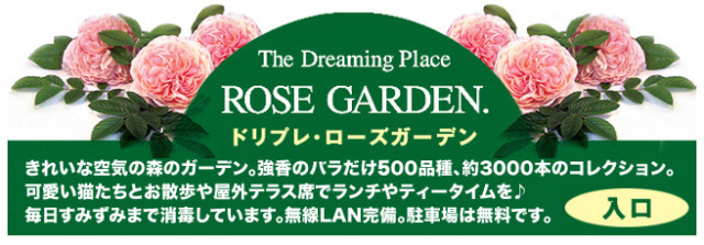 バラ園の中の英国アンティーク雑貨のお店。ドリプレSHOP