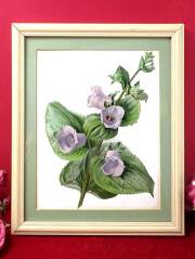 ＜英国ボタニカルアート：レア♪＞貴重な版画の原画♪優雅なお花たちの大きな額
