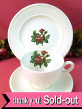 ＜ウェッジウッド：レア♪＞「MOSS ROSE」モスローズ♪上品なバラたちの愛らしいトリオ