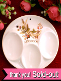 ★４０％OFF★＜マークス＆スペンサー＞「MELAMINE SPOON REST」♪ローズヒップのアレンジメントが優しい珍しいスプーンレスト：通常価格2980円→