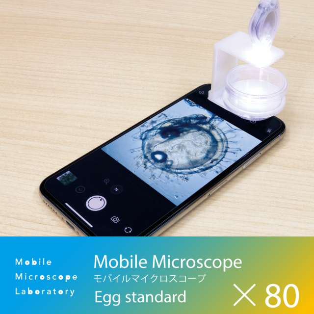 【持ち運べる小型顕微鏡】Mobile Microscope Egg standard モバイルマイクロスコープ エッグ スタンダード/20~80倍率