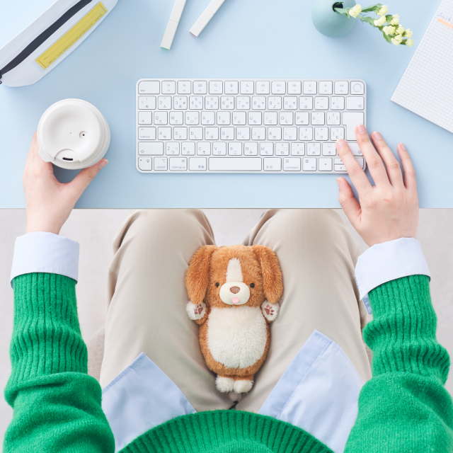 MUGYUUUS ウェイト付きぬいぐるみ 4体セット MUGYUUUS ウェイト付きぬいぐるみ 4体セット