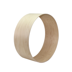 6Ply メイプルスネアシェル 口径 11”