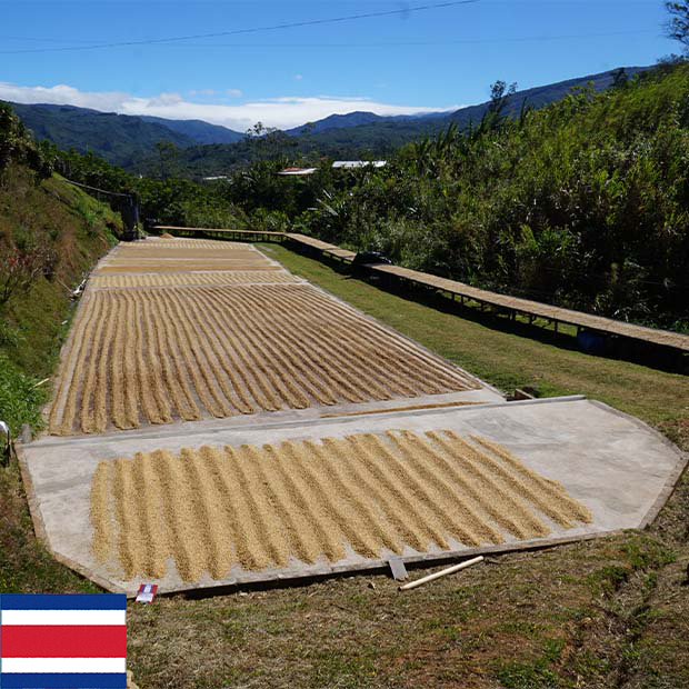 ラ・カンデリージャ SHB