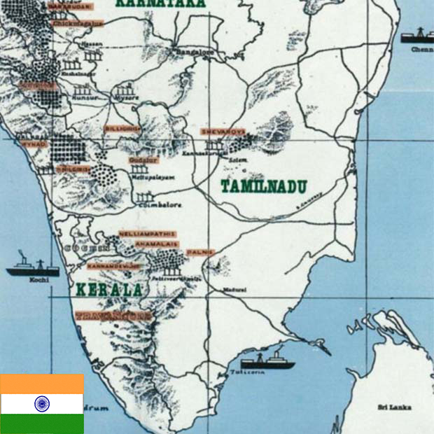 モンスーン マラバール AA