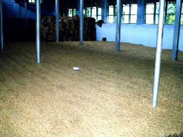 インド　モンスーン