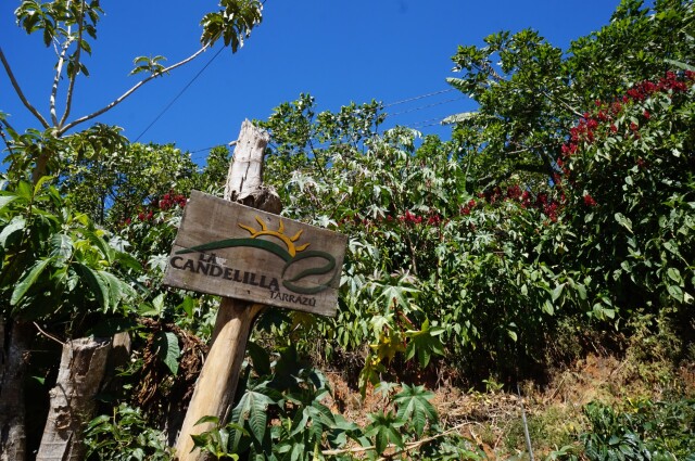 ラ・カンデリージャ　　SHB