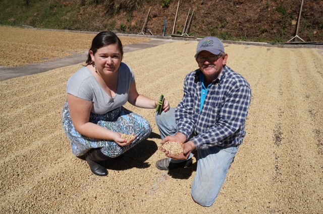 ラ・カンデリージャ　　SHB