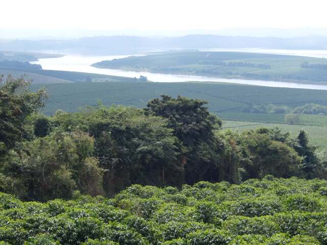 イパネマ農園リオベルデ