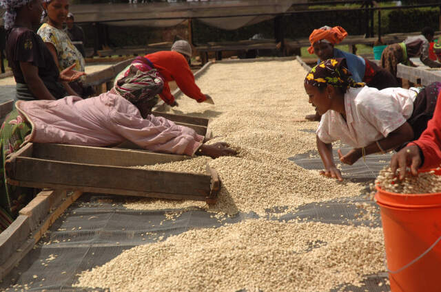 エーデルワイス農園