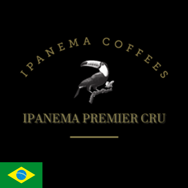 イパネマ プレミアクリュ H53 COCOA