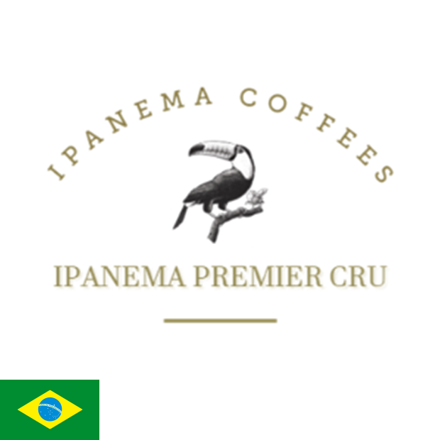 イパネマ プレミアクリュ H53 PLUM