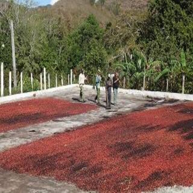 クリスタルマウンテン