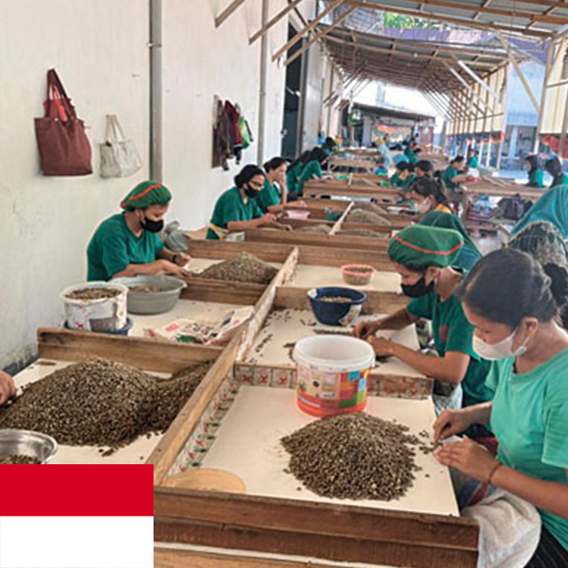 Hendra農園　ティピカナチュラル