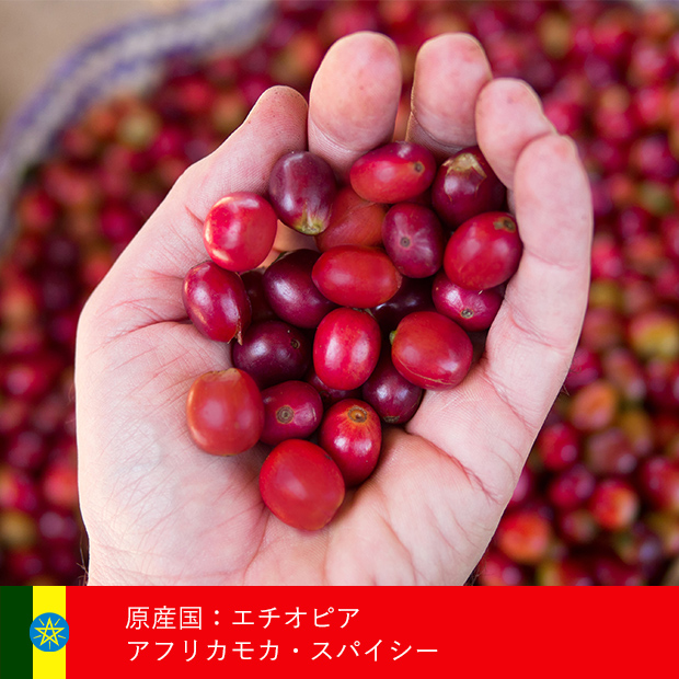 ドライフルーツ 煎りたて珈房ディーズ