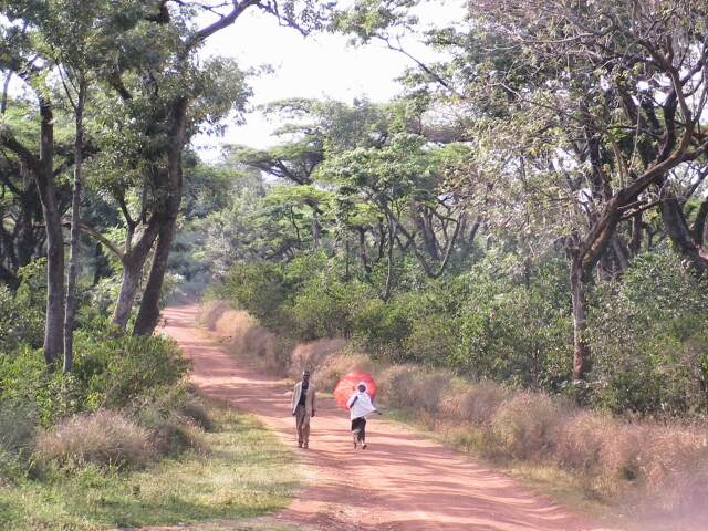 エーデルワイス農園