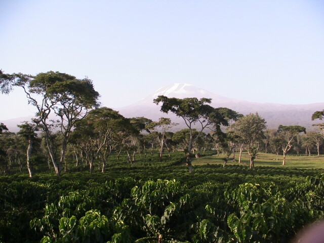 エーデルワイス農園