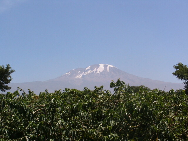 エーデルワイス農園