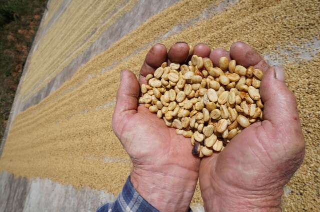 ラ・カンデリージャ　　SHB