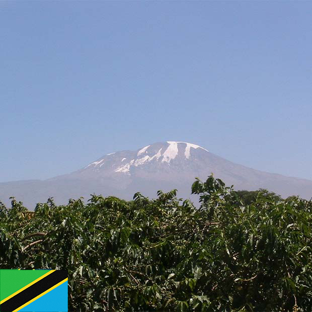 エーデルワイス農園