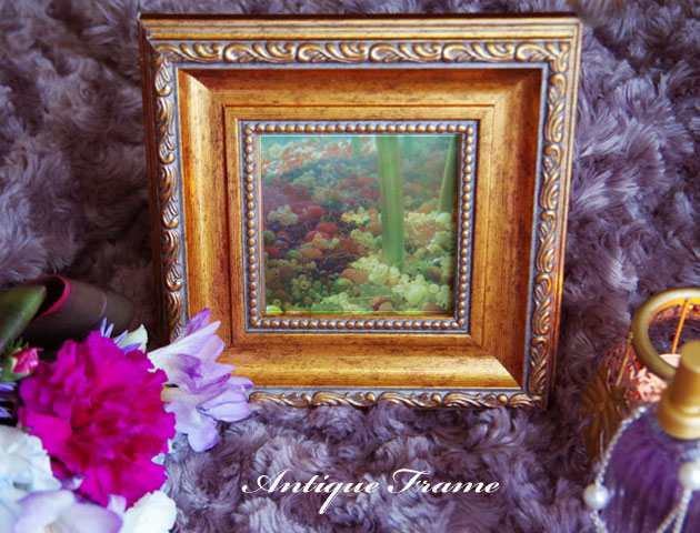 130716���衼���ԥ��󥢥�ƥ�����Ĵ���ե��ȥե졼��Joyeux