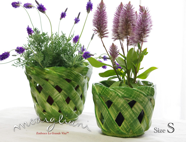 140410Modigliani ��ǥ��ꥢ���˥����ꥢ��ƫ��INTERECCIȭ���С��ӥ��꡼��