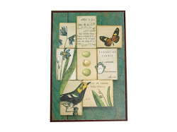 130736�ݣ��ݣ�������ƥꥢ������\