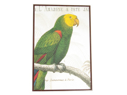 130736�ݣ��ݣ�������ƥꥢ������