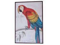 130736�ݣ��ݣ�������ƥꥢ������