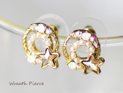 140119���������ѡ���꡼���Υԥ���