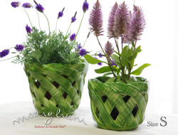 140410Modigliani ��ǥ��ꥢ���˥����ꥢ��ƫ��INTERECCIȭ���С��ӥ��꡼��