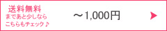 送料無料まであと少し1000円以下