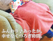 TWIGGY ふんわりあったか マイクロファイバーソフトブランケット ひざ掛け 70×100ｃｍ