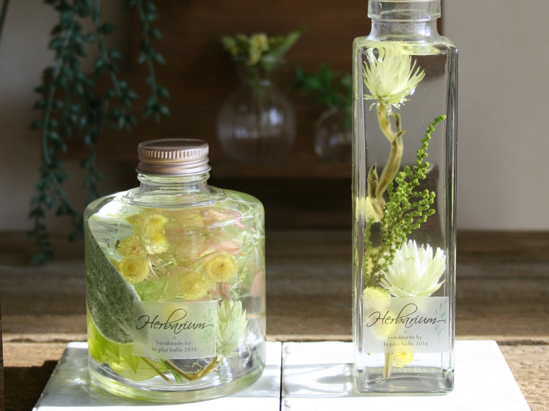 lena・Herbarium レナ・ハーバリウムギフトセット