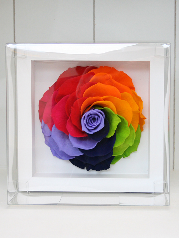 アルカンシェル・ブラン(M)