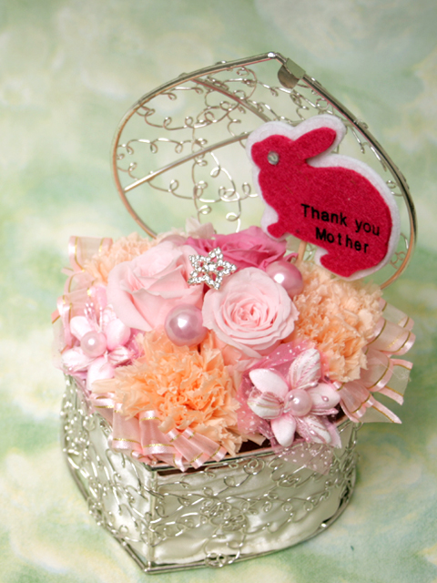 [イタリアンデザイン]carino～カリーノ～