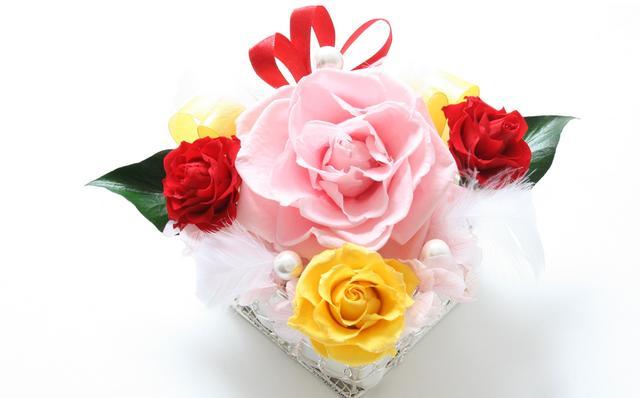 【イタリアンデザイン】cuore di donna（女性の心）