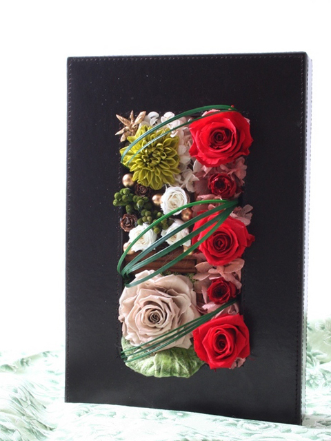 [フレーム]ノエル