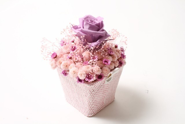 [イタリアンデザイン]〔ミニ〕ポルポラ