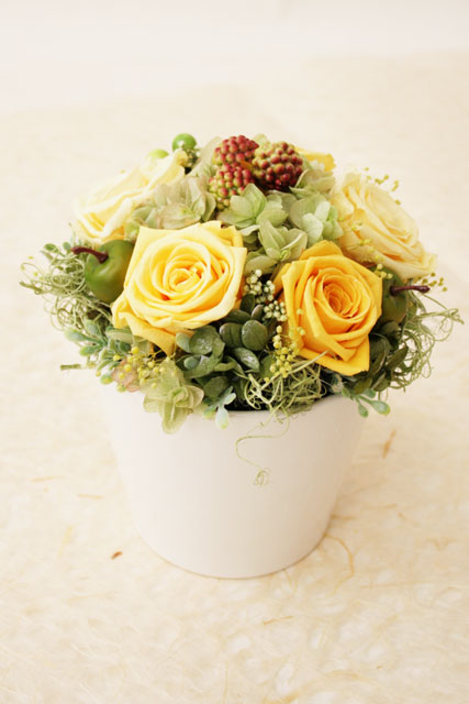 【お祝いに】　[イタリアンデザイン] プリマベーラ